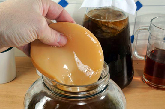 scoby